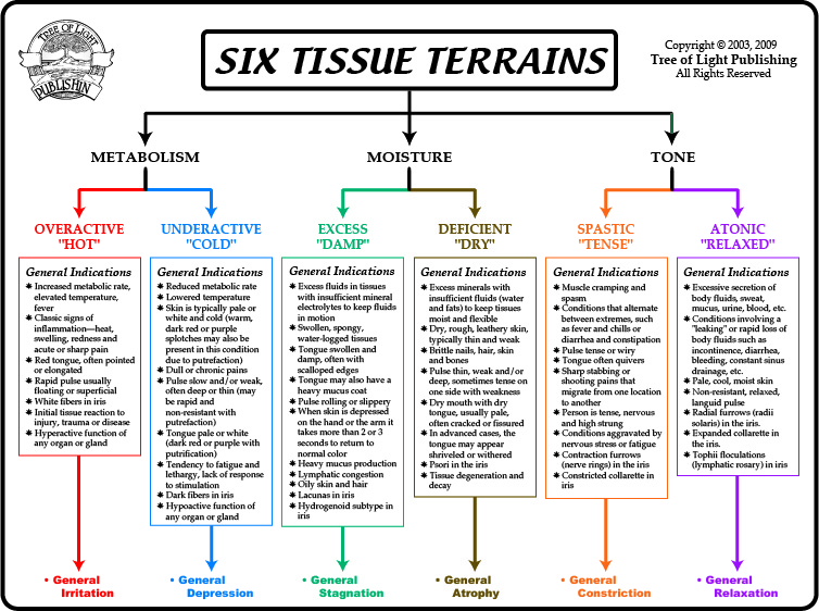 6 Tissue Terrains Color.jpg